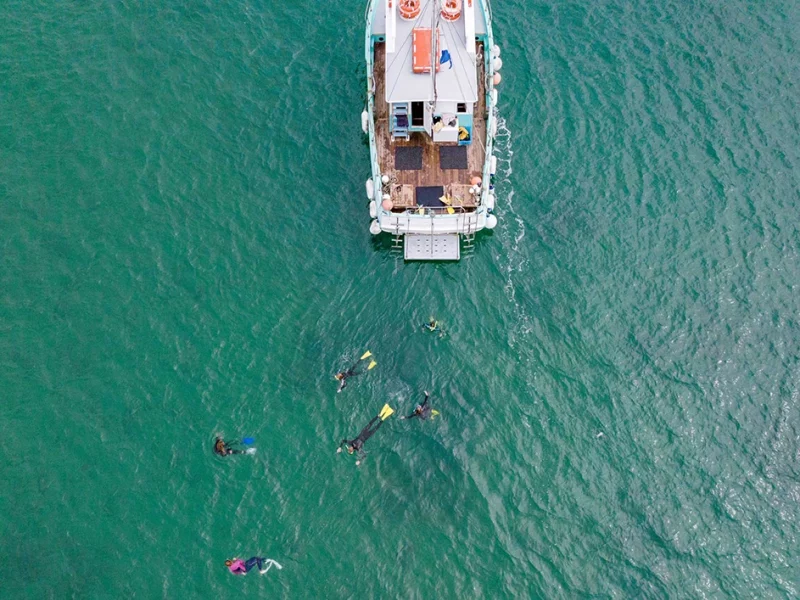 birds eye view of Polperro and swimmers